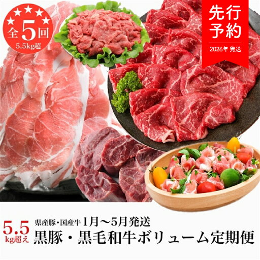 【ふるさと納税】【2026年発送 先行予約】<定期便・全5回(連続)>黒豚・黒毛和和牛!大満足定期便!総合計5.5kg超!牛肉 豚肉 黒豚 和牛 黒毛和牛 切り落とし 生ハム 国産 【水迫畜産】 【ふるさと納税】【2026年発送 先行予約】<定期便・全5回(連続)>黒豚・黒毛和和牛!大満足定期便!総合計5.5kg超!牛肉 豚肉 黒豚 和牛 黒毛和牛 切り落とし 生ハム 国産 【水迫畜産】