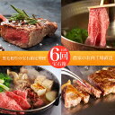 【ふるさと納税】<定期便!全6回(連続)>5等級鹿児島県産黒毛和牛 ステーキ・すき焼き・しゃぶしゃぶ!お肉の宝石箱定期便! 定期便 牛肉 ステーキ すき焼き し...