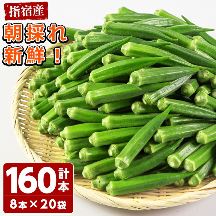 その他野菜(オクラ)人気ランク5位　口コミ数「1件」評価「5」「【ふるさと納税】＜先行予約受付中！2024年6月中旬以降順次発送予定＞鹿児島県指宿市産！朝採れ新鮮いぶすきオクラ(計160本・8本×20袋)おくら オクラ 豆 野菜 鹿児島県 そうめん 納豆 キムチ 【指宿促成青果】」