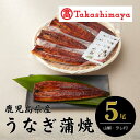【ふるさと納税】<高島屋選定品>鹿児島県産うなぎ蒲焼じっくり焼き(約200g-5尾)たれ・山椒付き うなぎ 鰻 ウナギ 高級 蒲焼 蒲焼き かばやき たれ付き ...