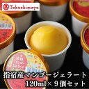 【ふるさと納税】<高島屋選定品>指宿マンゴージェラート9個セット(120ml×9個) アイス ジェラート シャーベット アイスクリーム 詰め合わせ 送料無料 【...