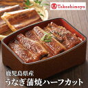 【ふるさと納税】<高島屋選定品>鹿児島県産うなぎ蒲焼ハーフカット(70g×10枚) (TK040-1930)