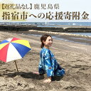 【ふるさと納税】≪返礼品なし≫鹿児島県指宿市への応援寄附金(1口:5000円)(3)