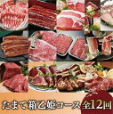 【ふるさと納税】<定期便・連続12回お届け>指宿のたまて箱乙姫コース!お肉や魚を楽しむ定期便 うなぎ 鰻 キザミ さつま揚げ 牛肉 ステーキ サーロイン ロース...