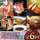 【ふるさと納税】<定期便・全6回(連続)>鹿児島県産豚バラエティ定期便! 豚肉 黒豚 しゃぶしゃぶ 肩ロース 豚バラ スライス 切り落とし ハンバーグ ロースカ...