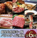 【ふるさと納税】<定期便!全6回(連続)>鹿児島県産牛・豚バラエティ定期便 牛肉 すき焼き しゃぶしゃぶ スライス 冷凍 肉 黒毛和牛 和牛 国産 肩ロース ス...