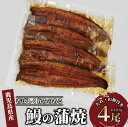 【ふるさと納税】鹿児島県産!うなぎ蒲焼(無頭背開き)約165g×4尾(タレ・山椒付) うなぎ 鰻 ウナギ 鹿児島 国産 蒲焼き かばやき 冷凍 うな重 ひつまぶ...