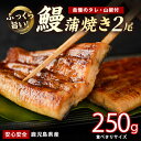 【ふるさと納税】【鹿児島県産】うなぎ蒲焼じっくり焼き約125g×2尾 化粧箱入り 鰻 ウナギ 蒲焼 国産 丑の日 うな重 無頭 ギフト プレゼント 贈り物 贈答 【大新】