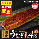 【ふるさと納税】\6/11までご愛顧感謝 2尾 20000円→19000円 4尾 38000円→35000円/【父の日ギフト】6/8までのお申込みで6/13~6/15にお届け!<選べるサイズ・定期便>鹿児島県産うなぎ蒲焼き ふっくら肉厚 約250g 2~4尾 木目化粧箱入(特製タレ・山椒付き) ウナギ 鰻