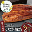 【ふるさと納税】<父の日ギフト>鹿児島県産うなぎ蒲焼じっくり焼き(約250g×2尾・木目化粧箱入り) うなぎ 鰻 ウナギ 無頭 鹿児島 国産 蒲焼 蒲焼き かば...