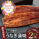 【ふるさと納税】<母の日ギフト>鹿児島県産うなぎ蒲焼じっくり焼き(約250g×2尾・木目化粧箱入り) うなぎ 鰻 ウナギ 無頭 鹿児島 国産 蒲焼 蒲焼き かば...