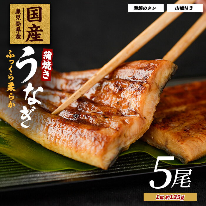 【ふるさと納税】【鹿児島県産】 うなぎ蒲焼じっくり焼き約125g×5尾 化粧箱入り 鰻 ウナギ 蒲焼 国産 丑の日 うな重 無頭 ギフト プレゼント 贈り物 贈...