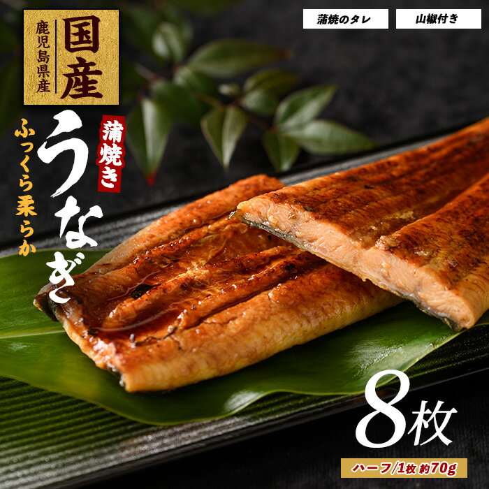 【ふるさと納税】うなぎ蒲焼じっくり焼きハーフカット約70g×8枚 化粧箱入り 鰻 ウナギ 蒲焼 国産 丑の日 うな重 無頭 ギフト プレゼント 贈り物 贈答 惣...
