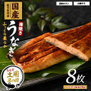 【ふるさと納税】【丑の日ギフト】7/9〜19までにお届け!(お申込みは7/13まで)【鹿児島県産】うなぎ蒲焼じっくり焼きハーフカット約70g×8枚 化粧箱入り ...