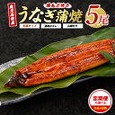【ふるさと納税】<お届け回数が選べる>鹿児島産の鰻蒲焼贅沢セット!(通常:有頭背開き5尾・タレ、山椒付/定期便:有頭背開き5尾・タレ、山椒付×3回) うなぎ 鰻...
