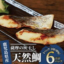 【ふるさと納税】国産!薩摩の灰干し天然鯛セット(80g×6) 魚 冷凍 焼き魚 切り身 灰干し 干物 鯛 タイ マダイ 真鯛 天然鯛 総菜 焼くだけ【浜上水産】
