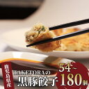 【ふるさと納税】<内容量が選べる!>【鹿児島ラーメン王2017・2019王者】TAKETORAの黒豚餃子(18個×3〜10P) 餃子 ギョーザ ぎょうざ 冷凍 ...