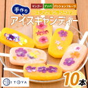 【ふるさと納税】手作りアイスキャンディー エディブルフラワー入り 10本 鹿児島 手作り アイス アイスキャンディー 氷 氷菓子 スイーツ おやつ マンゴー グ...