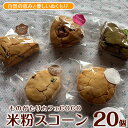 【ふるさと納税】【グルテンフリー】スコーン20個 米粉 スコーン セット 詰め合わせ 焼き菓子 お菓子 カフェ スイーツ プレーン 野菜 果物 フルーツ【ものがたりカフェCOCO】