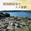 【ふるさと納税】秘湯鰻温泉でスメ体験 西郷どん愛犬13匹を探せ! (1名様分) 体験 見学 観光 指宿 鹿児島 スメ すめ 蒸し 蒸し野菜 温泉 鰻温泉 うなぎ温泉 西郷どん 西郷隆盛 ガイド ツアー オリジナル 缶バッジ 探索【NPO法人指宿観光&体験の会】