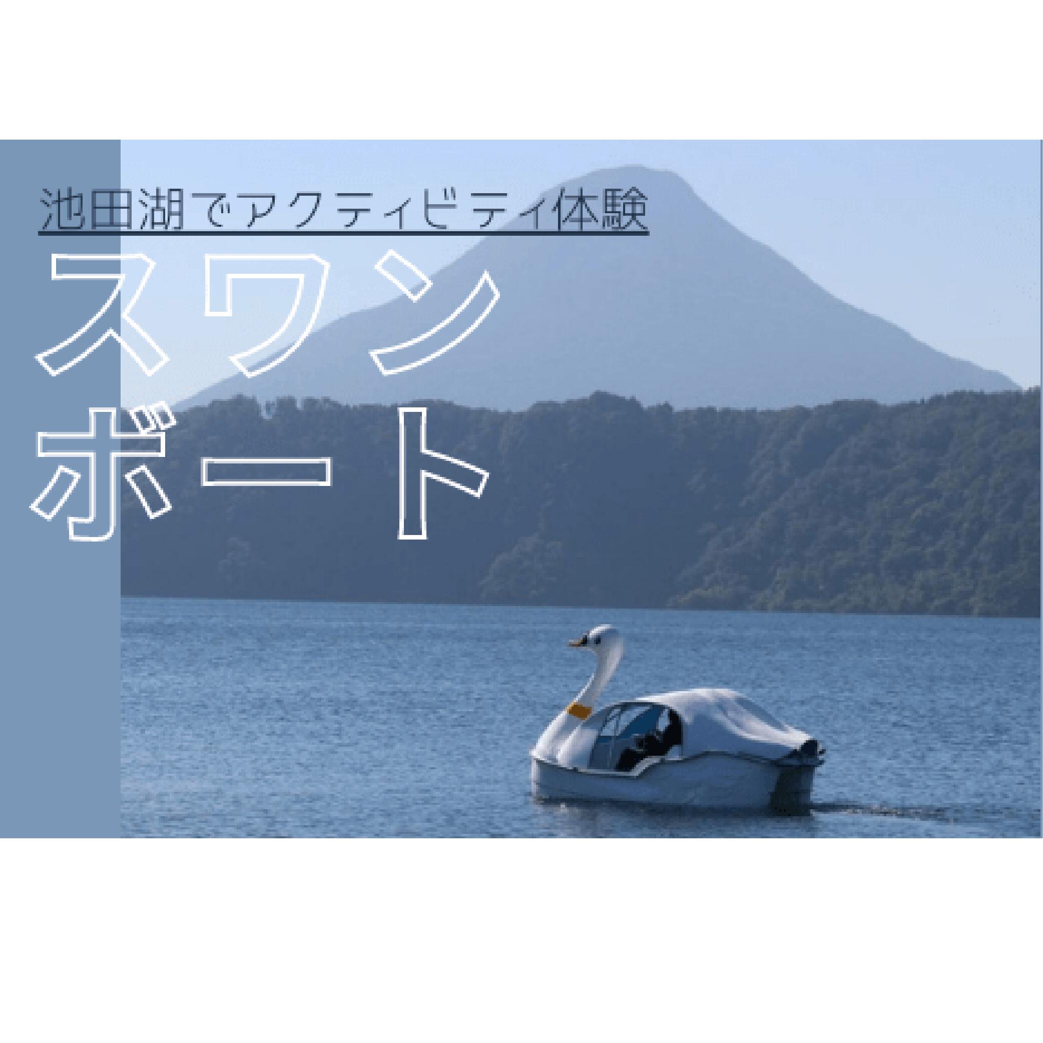 【ふるさと納税】<池田湖でアクティビティ体験>スワンボート体験(1台レンタル・60分間・乗船人数目安、大人2名と小人2〜3名) 体験 旅行 観光 鹿児島県 指宿...