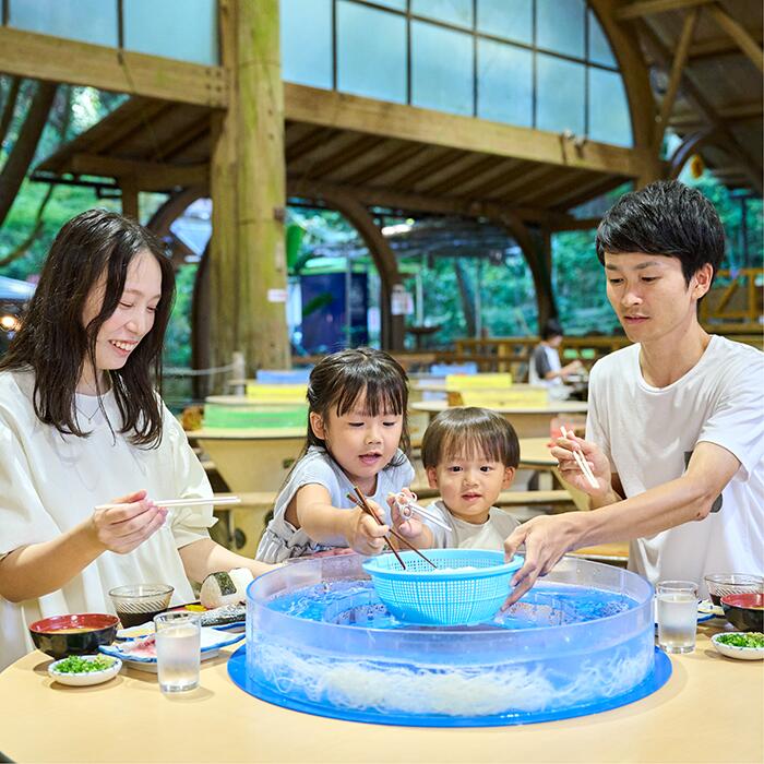 【ふるさと納税】＜枚数が選べる＞いぶすき唐船峡そうめん流し《お食事チケット・2〜4枚組》 体験 チケット そうめん流し お食事券 ペア 家族 レストラン食事券 チケット 食事券 旅行 観光 夏休み 【指宿市営唐船峡そうめん流し】