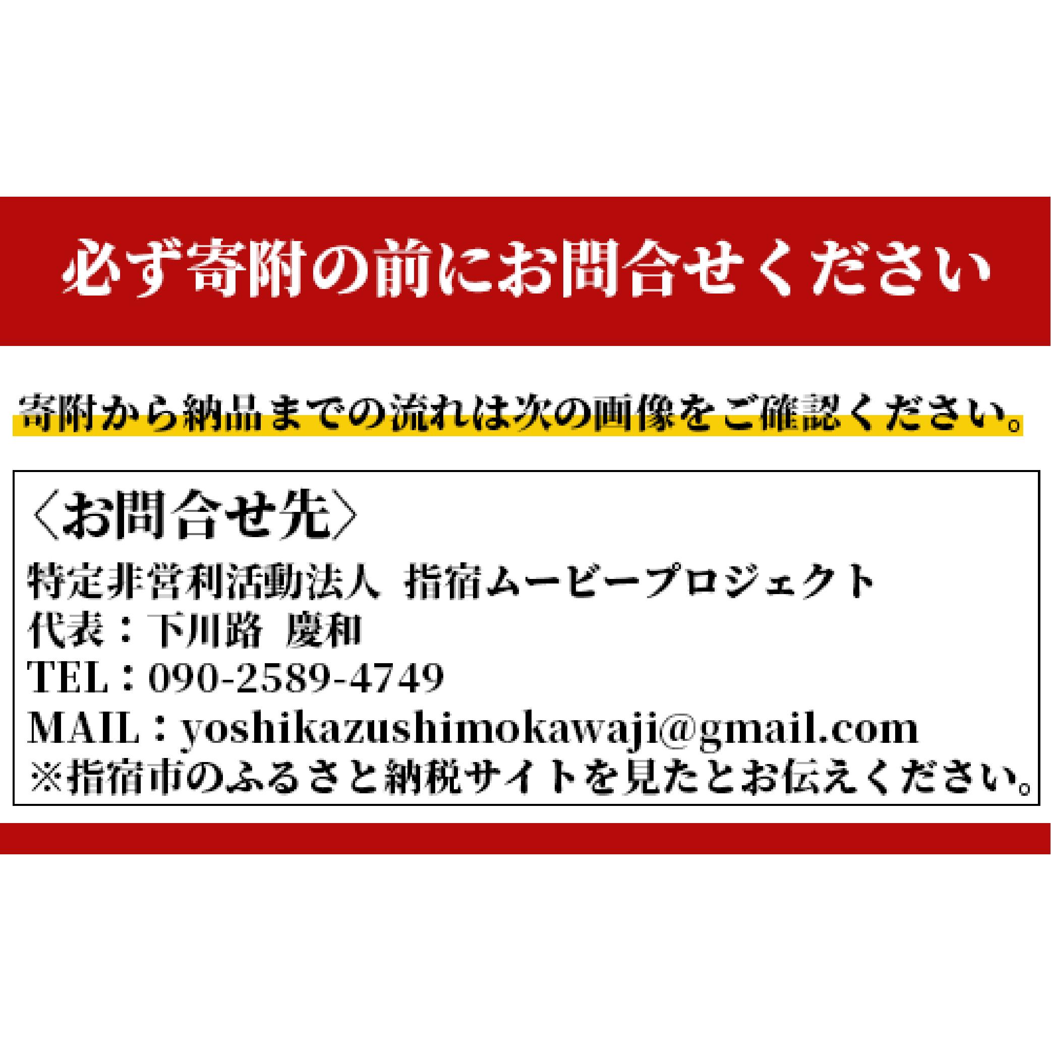 【ふるさと納税】旅の思い出が一生の思い出に！ パーソナルシネマ制作チケット(シンプルプラン) 体験チケット 観光 旅行 動画撮影 プレゼント ギフト オリジナル アルバム 誕生日 記念日 結婚記念日 結婚式 結婚祝い 【特定非営利活動法人指宿ムービープロジェクト】 2