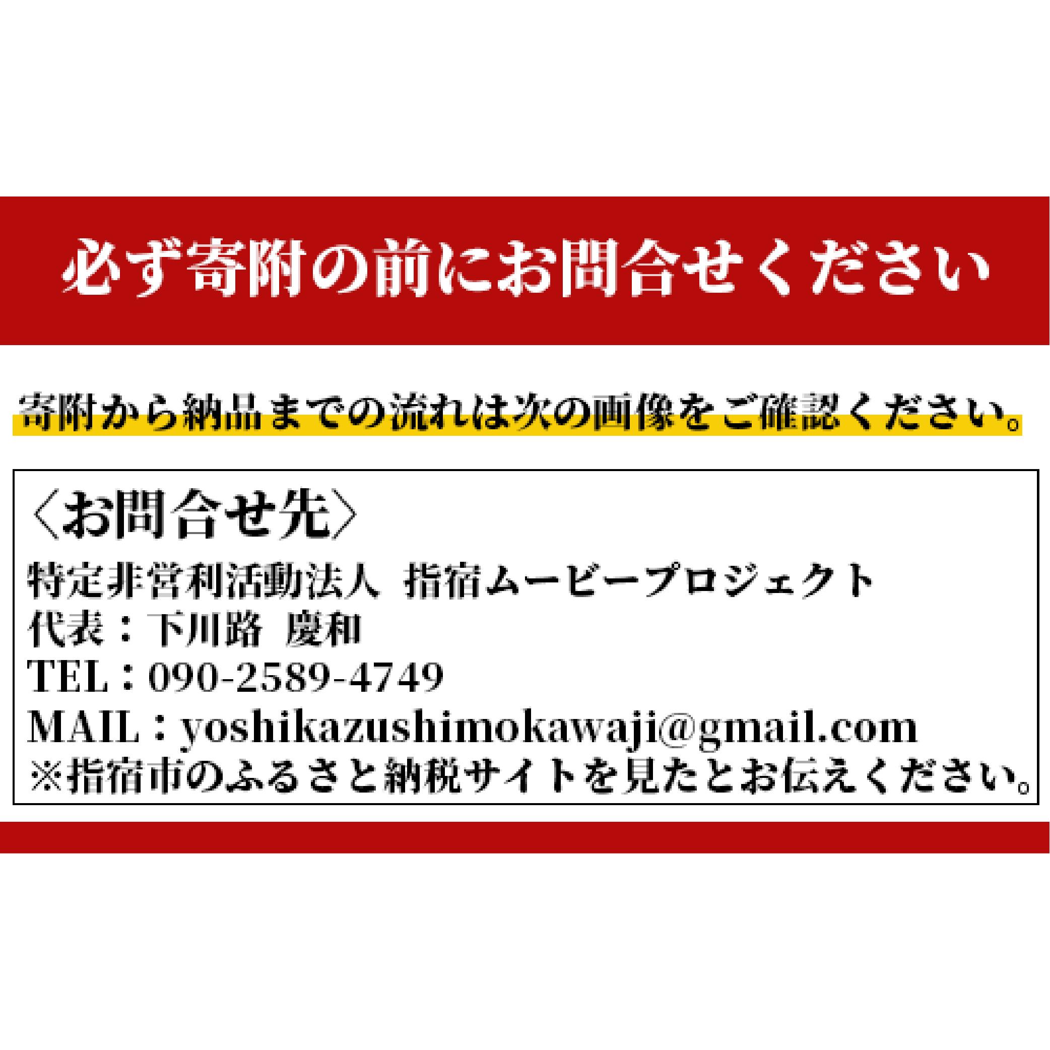【ふるさと納税】旅の思い出が一生の思い出に！ パーソナルシネマ制作チケット(レギュラープラン) 体験チケット 観光 旅行 動画撮影 プレゼント ギフト オリジナル アルバム 誕生日 記念日 結婚記念日 誕生日 夏休み 【特定非営利活動法人指宿ムービープロジェクト】 2