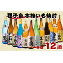 【ふるさと納税】種子島 本格焼酎 一升瓶 12酒 飲みくらべセット