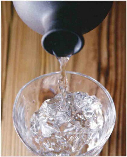 鹿児島県西之表市の画像2