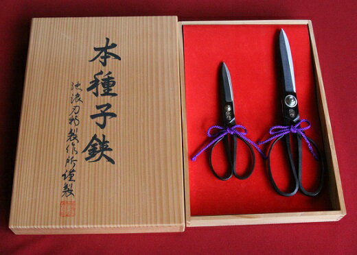 鹿児島県西之表市の画像3