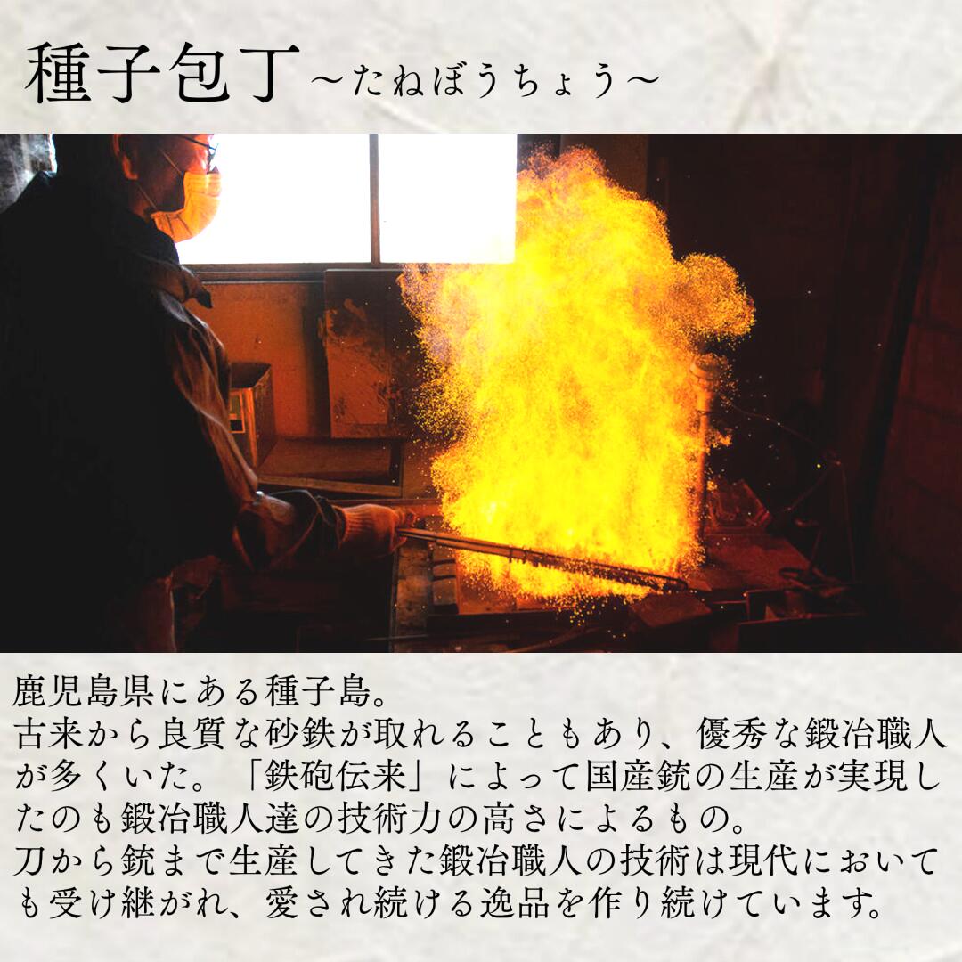 鹿児島県西之表市の画像3