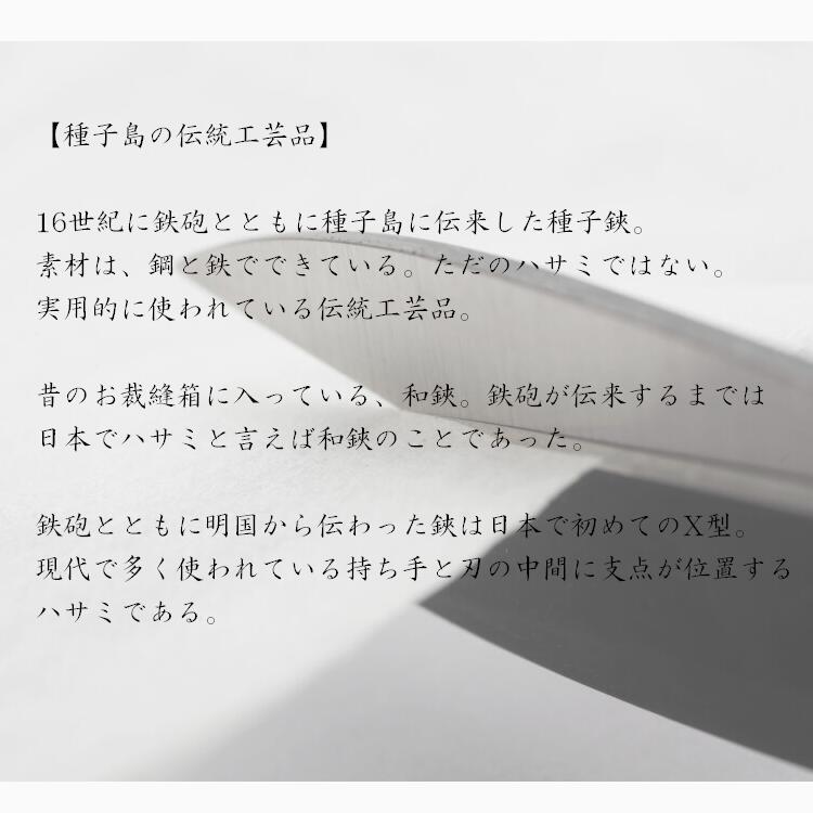 鹿児島県西之表市の画像2