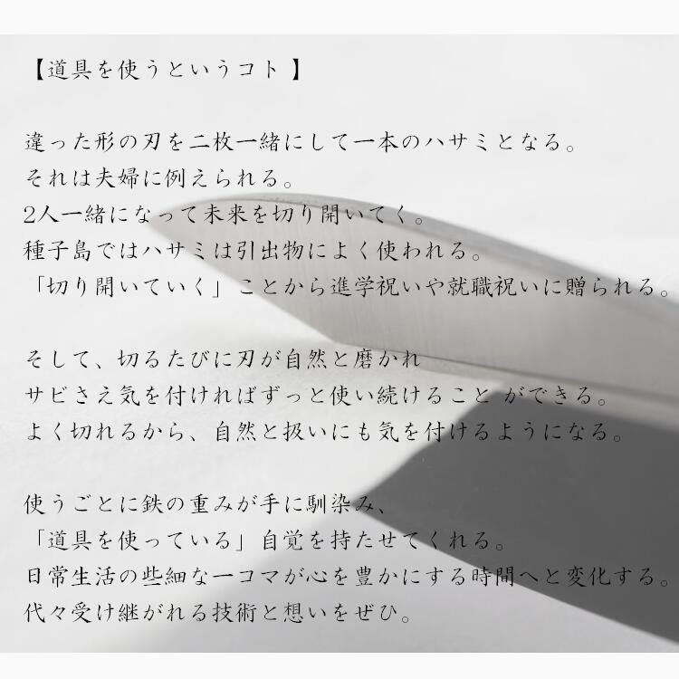 鹿児島県西之表市の画像3