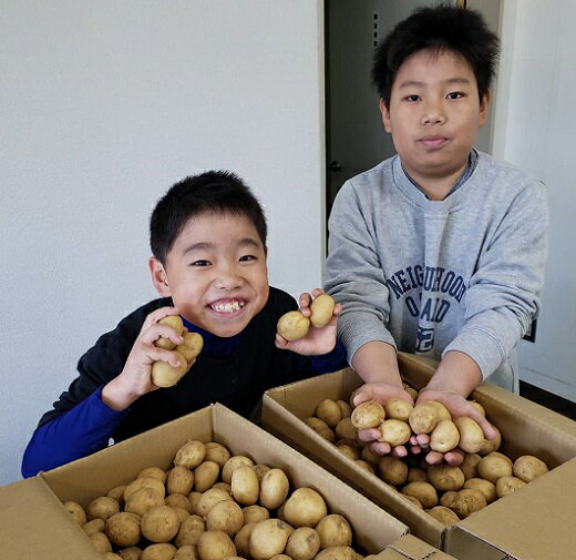 【ふるさと納税】中園ファームの新じゃがいも Sサイズ 10kg