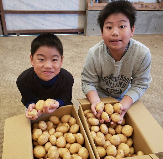 【ふるさと納税】中園ファームの新じゃがいも Mサイズ 10kg