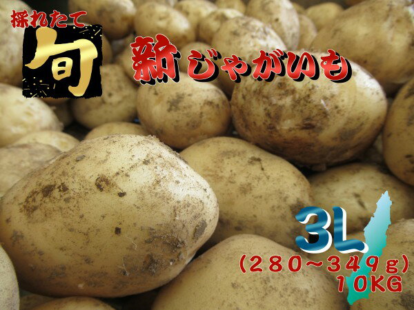 【ふるさと納税】【2024年収穫分】今が旬 種子島 中園ファーム 新じゃがいも ＼ 特大 3L サイズ 10kg ...