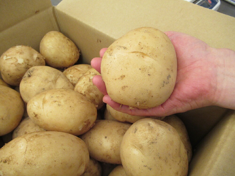 鹿児島県西之表市の画像2