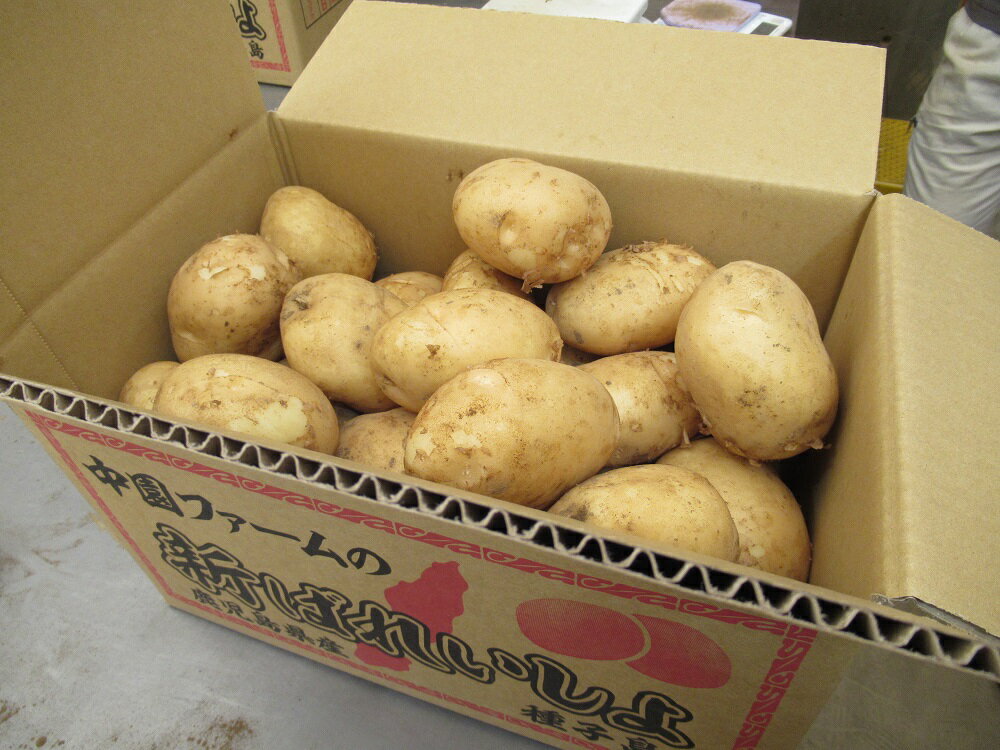 鹿児島県西之表市の画像3