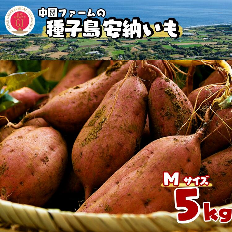 【ふるさと納税】ねっとり 蜜が出るほど 甘い 本場 種子島 安納いも ＼ 大容量 Mサイズ 5kg ／ 発祥の地 安納地域 中園ファームで育てた こだわりの さつまいも