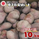 商品画像2