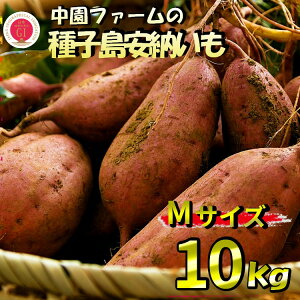 【ふるさと納税】\ 新物 順次発送中 / 中園ファームの 種子島安納いも(生いも)Mサイズ10kg