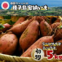 【ふるさと納税】\ 8月下旬~9月上旬に順次発送 /2025年産 初物 種子島 安納いも 本場 の 安納 地区で収穫 縁起 初物 旬 先取り Mix サイズ 安納芋 ( 生芋 ) 5kg