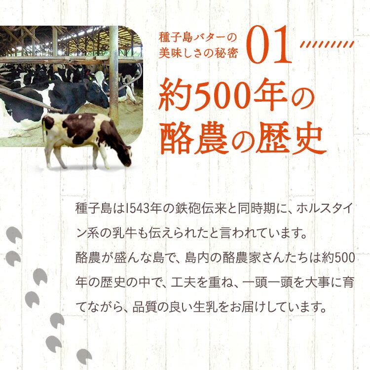 【ふるさと納税】＼高評価★4.8以上／ 種子島3.6 牛乳 3L (500mlx6本) と 種子島 バター 200gx2個 セット C 種子島産 有塩バター 生乳使用 ふるさと納税 バター 種子島 バター ふるさと納税 牛乳 ミルク 乳製品 ふるさと 人気 ランキング