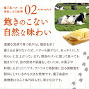 鹿児島県西之表市の画像3