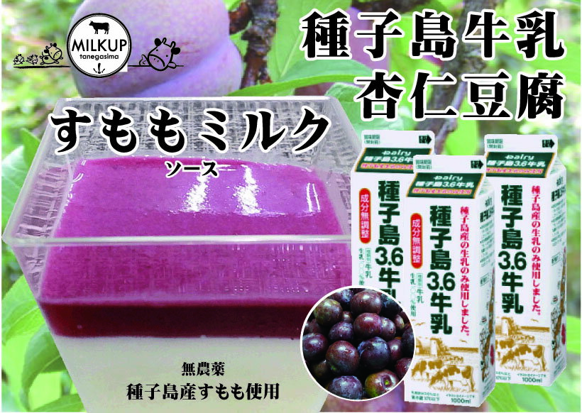 鹿児島県西之表市の画像3