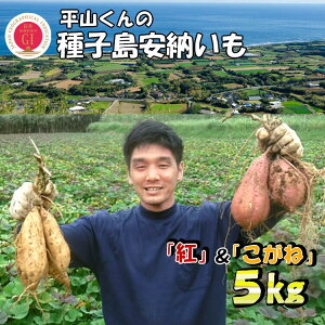 【ふるさと納税】平山くんの種子島安納いも「紅&こがね」（M＆Lサイズ）5kg
