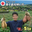 【ふるさと納税】\ 新物・先行予約中 / 平山くんの種子島安納いも「紅」(Mサイズ) 5kg