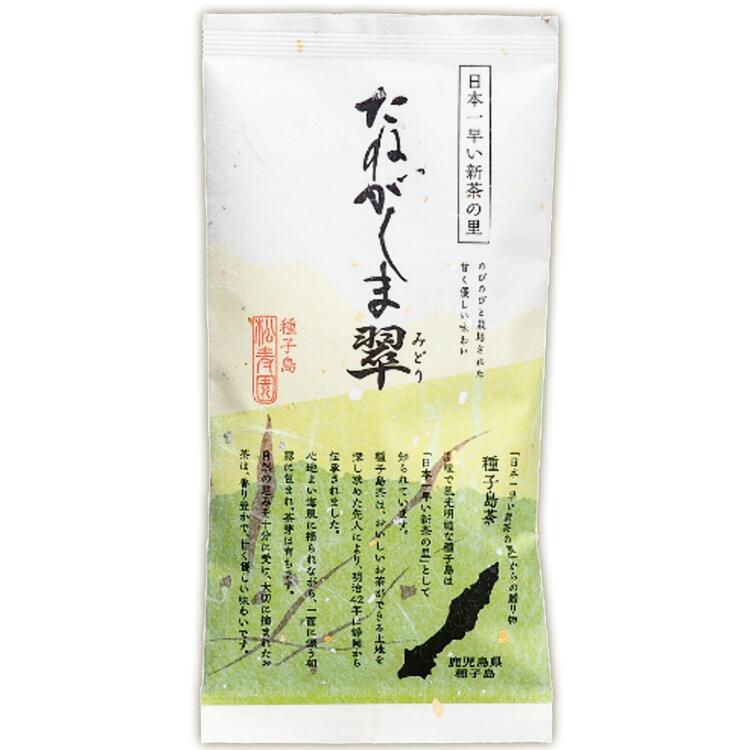 【ふるさと納税】種子島松寿園のたねがしま翠　6袋セット