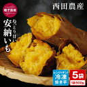 【ふるさと納税】石蔵熟成 安納焼いも \特別な焼窯(特許)でじっくり焼いた/ 種子島 安納芋 を使用! 種子島産の炭使用 さつまいも ふるさと納税 焼き芋 冷凍...